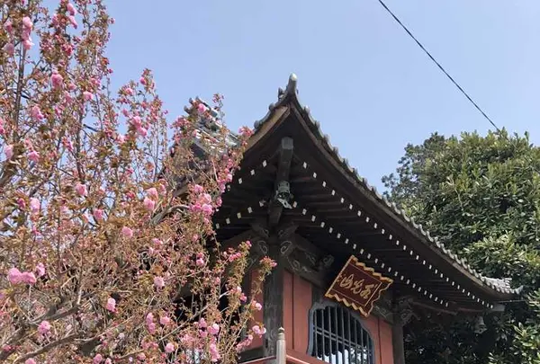 大應寺の写真・動画_image_309133