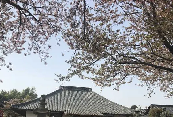 正法院の写真・動画_image_309151