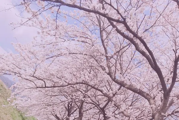 稲荷大明神の写真・動画_image_309930