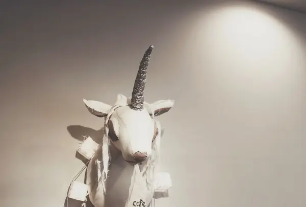 カフェナンバー （cafe no） の写真・動画_image_310084