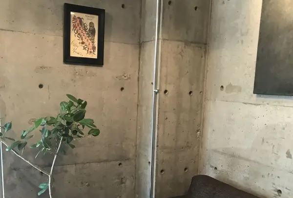 カフェ オブスキュラ （Cafe Obscura）の写真・動画_image_310508