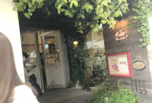 カフェ アクイーユ 恵比寿（cafe accueil）の写真・動画_image_310806
