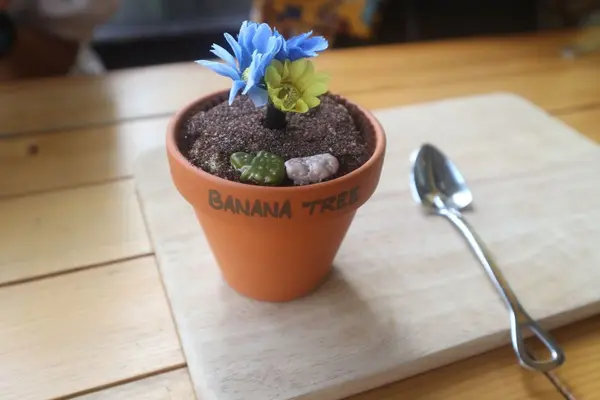 banana treeの写真・動画_image_310815