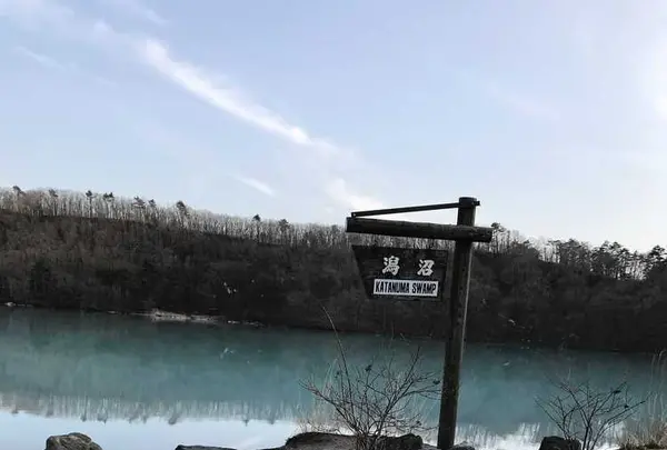 潟沼の写真・動画_image_310996