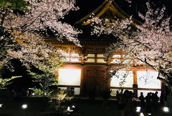 東寺（教王護国寺）の写真・動画_image_311718