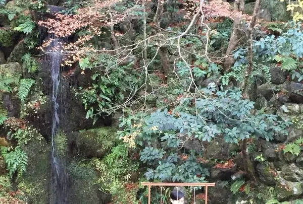 星のや 京都の写真・動画_image_311783