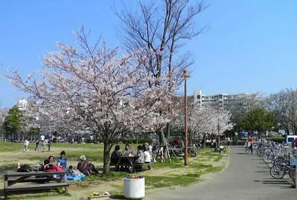 若潮公園の写真・動画_image_312005