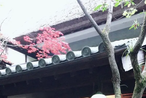 旅籠 かやうさぎの写真・動画_image_312216