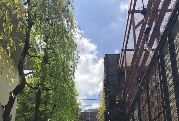 【閉業】ショウゾウ コーヒー ストア（SHOZO COFFEE STORE）の写真・動画_image_312517