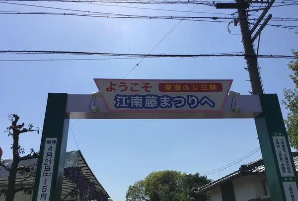曼陀羅寺公園の写真・動画_image_312529