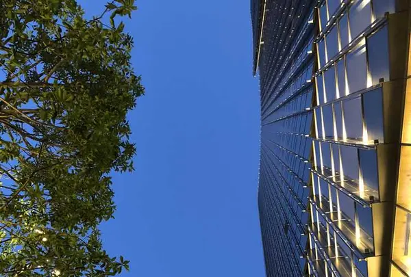 Buvette（ブヴェット）の写真・動画_image_312902