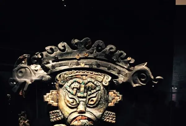 国立科学博物館の写真・動画_image_313996
