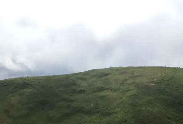 大室山の写真・動画_image_314212