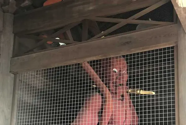 岩殿山 安楽寺の写真・動画_image_314537