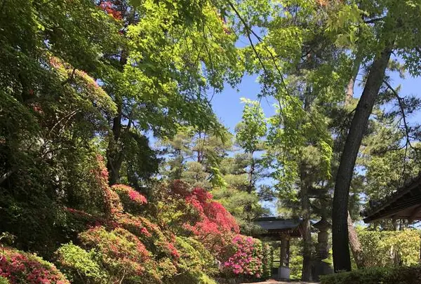 岩殿山 安楽寺の写真・動画_image_314541
