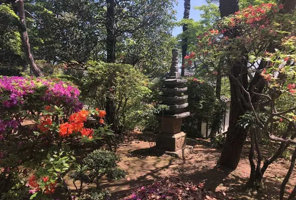 岩殿山 安楽寺の写真・動画_image_314542