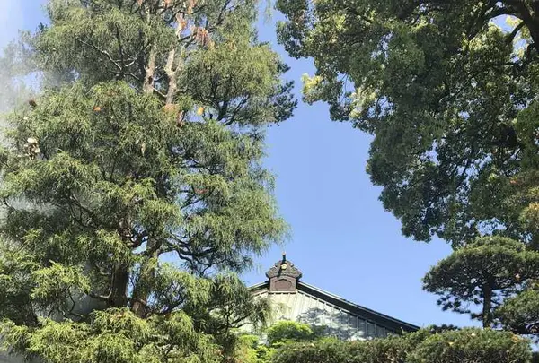 岩殿山 安楽寺の写真・動画_image_314543