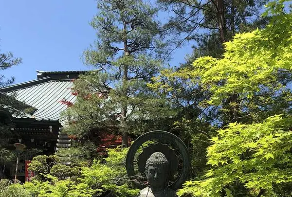 岩殿山 安楽寺の写真・動画_image_314544