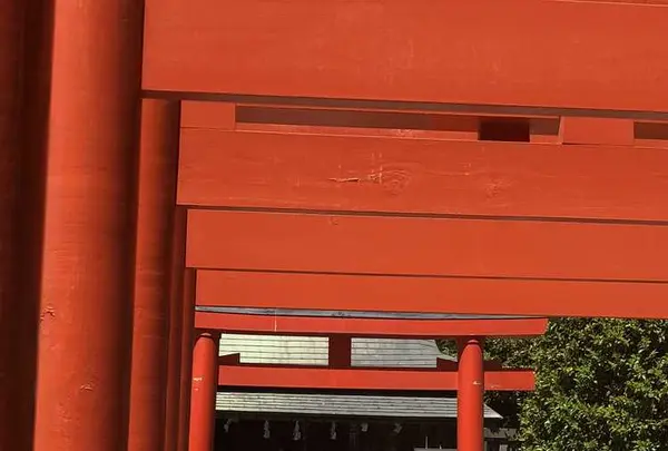 箭弓稲荷神社の写真・動画_image_314566