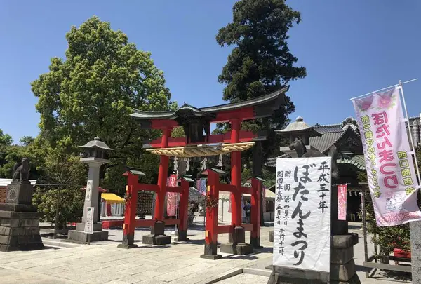 箭弓稲荷神社の写真・動画_image_314588