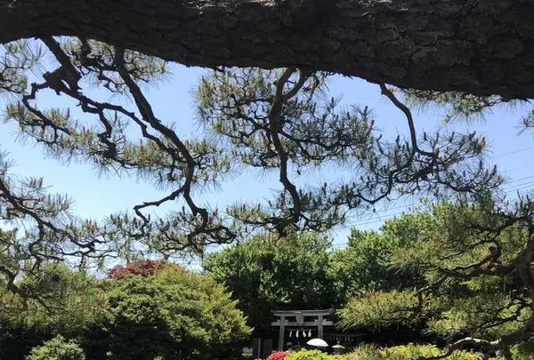 箭弓稲荷神社の写真・動画_image_314591