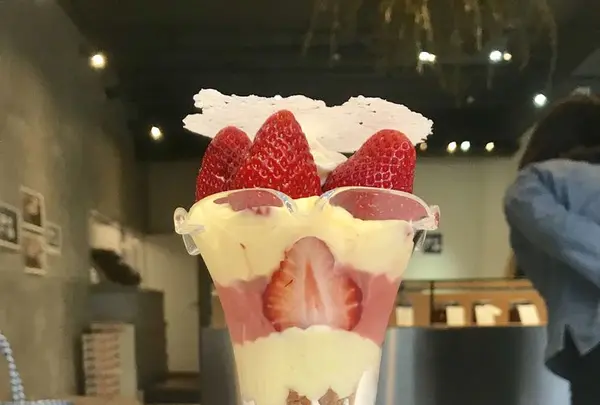 FLAVÉDO par LISETTE（フラベド）の写真・動画_image_314876
