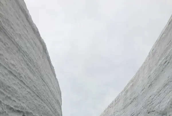 雪の大谷の写真・動画_image_315782