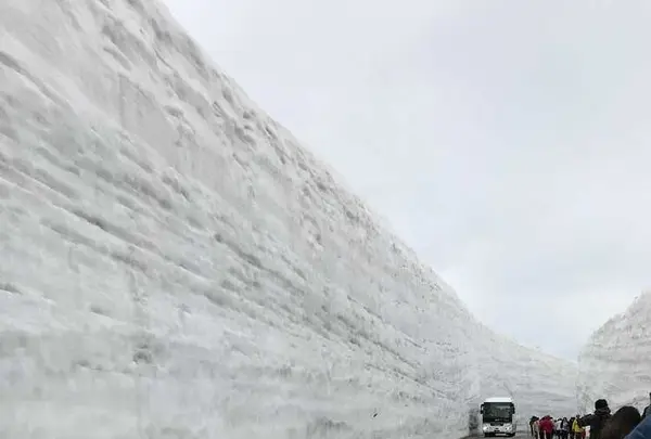 雪の大谷の写真・動画_image_315783
