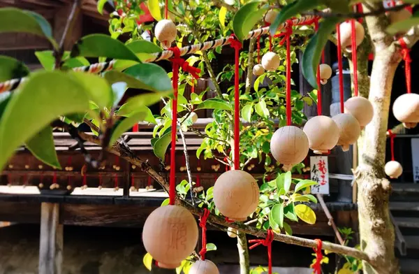 龍蓋寺（岡寺）の写真・動画_image_316047