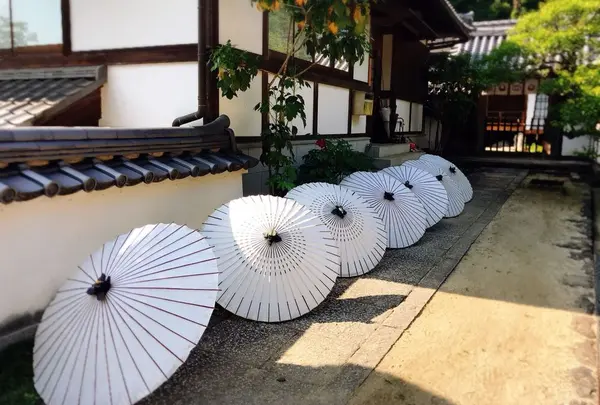 龍蓋寺（岡寺）の写真・動画_image_316049