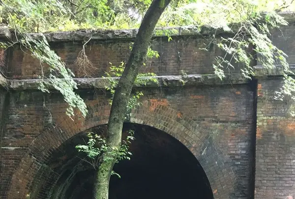 愛岐トンネル群の写真・動画_image_316417