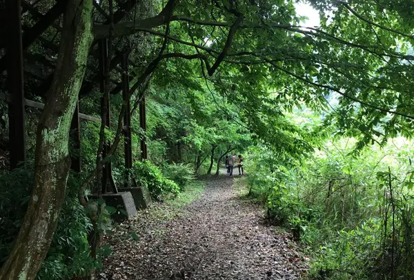 愛岐トンネル群の写真・動画_image_316419