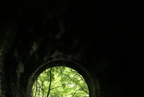 愛岐トンネル群の写真・動画_image_316427