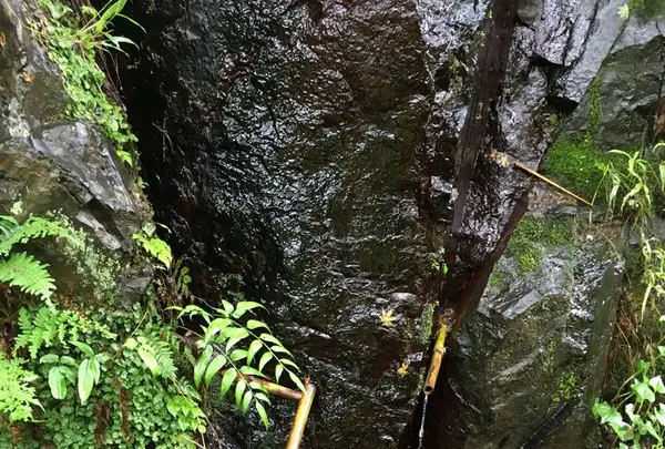 愛岐トンネル群の写真・動画_image_316432