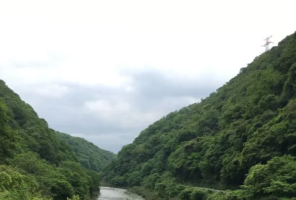 愛岐トンネル群の写真・動画_image_316433