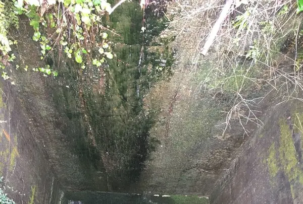 愛岐トンネル群の写真・動画_image_316434