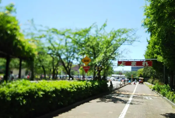 浦安市交通公園の写真・動画_image_316723
