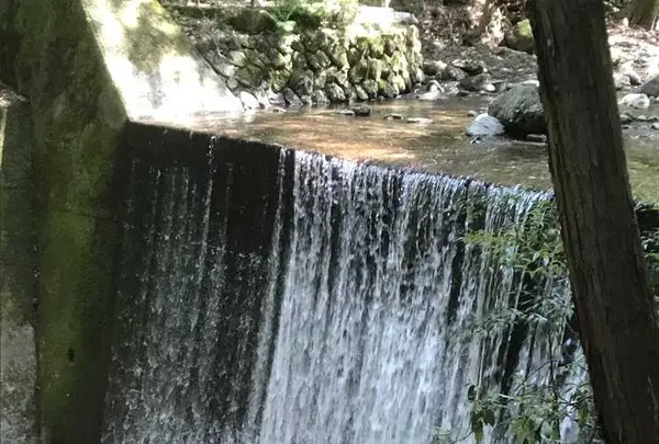 そぶら森のレストランの写真・動画_image_317037