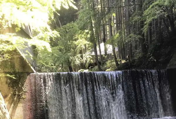 そぶら森のレストランの写真・動画_image_317039