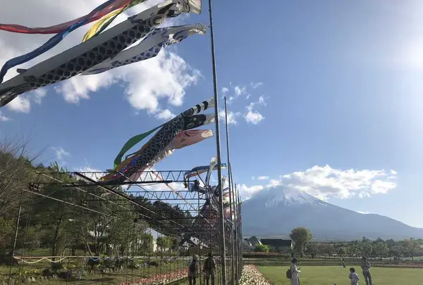 山中湖花の都公園の写真・動画_image_317149
