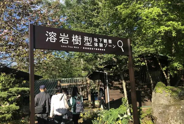 山中湖花の都公園の写真・動画_image_317154