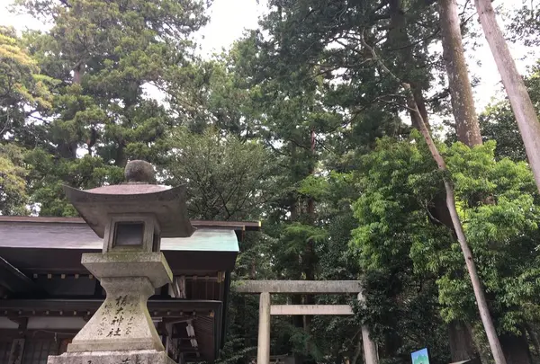 椿大神社の写真・動画_image_317164