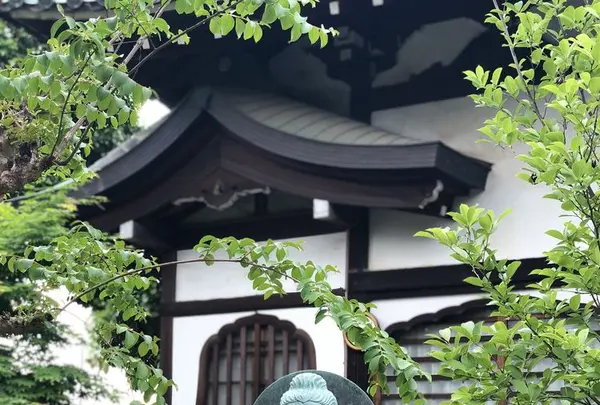 小江戸川越一番街商店街 蔵造りの町並みの写真・動画_image_317364