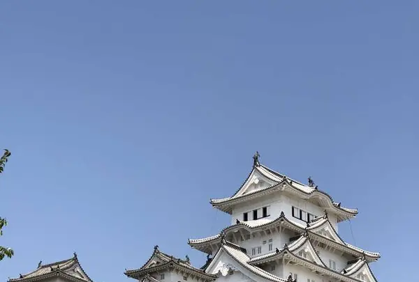 姫路城の写真・動画_image_317468