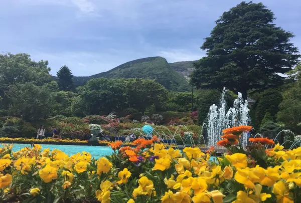 箱根強羅公園の写真・動画_image_317615