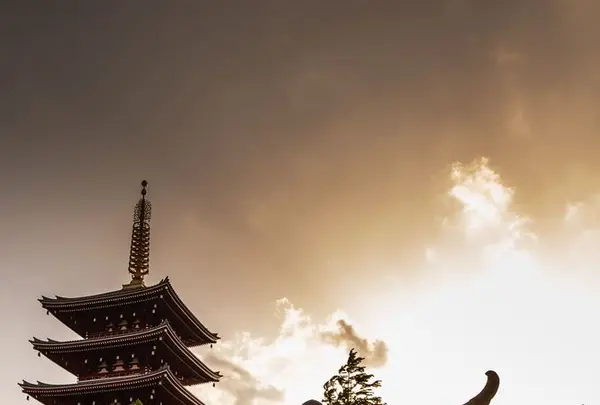 浅草寺の写真・動画_image_318153
