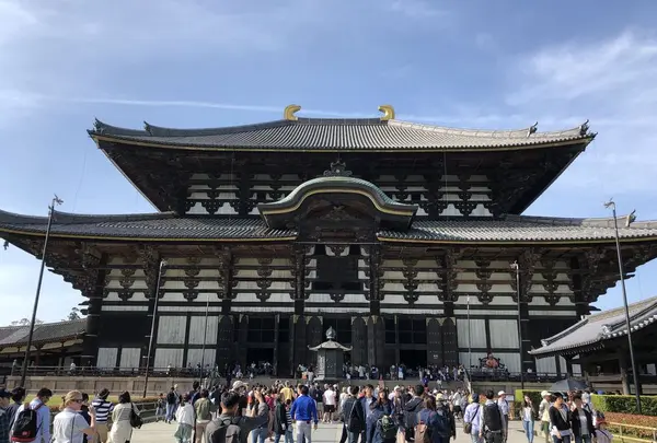 東大寺の写真・動画_image_318229