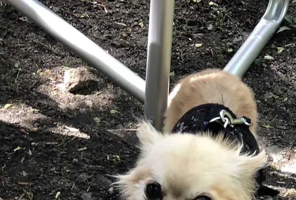 しげの屋の写真・動画_image_318247