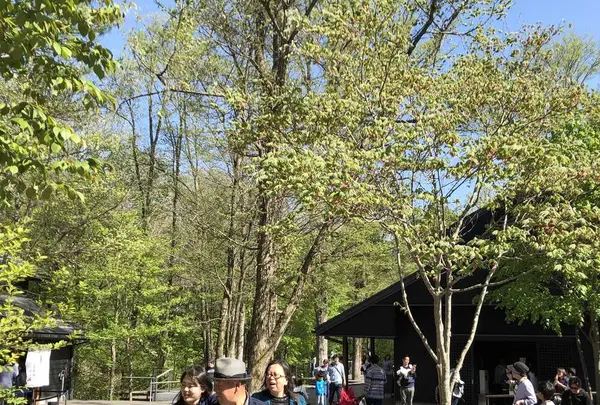 しげの屋の写真・動画_image_318256