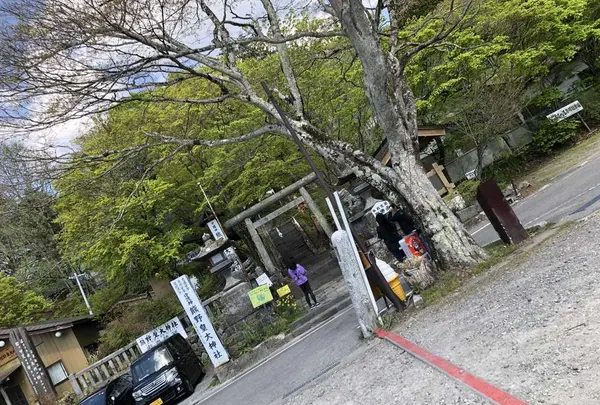 しげの屋の写真・動画_image_318257